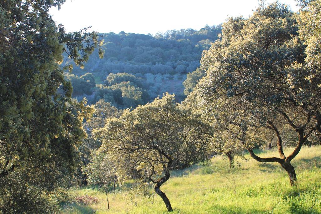 Pedroso de Acim Cabana El Mirador מראה חיצוני תמונה